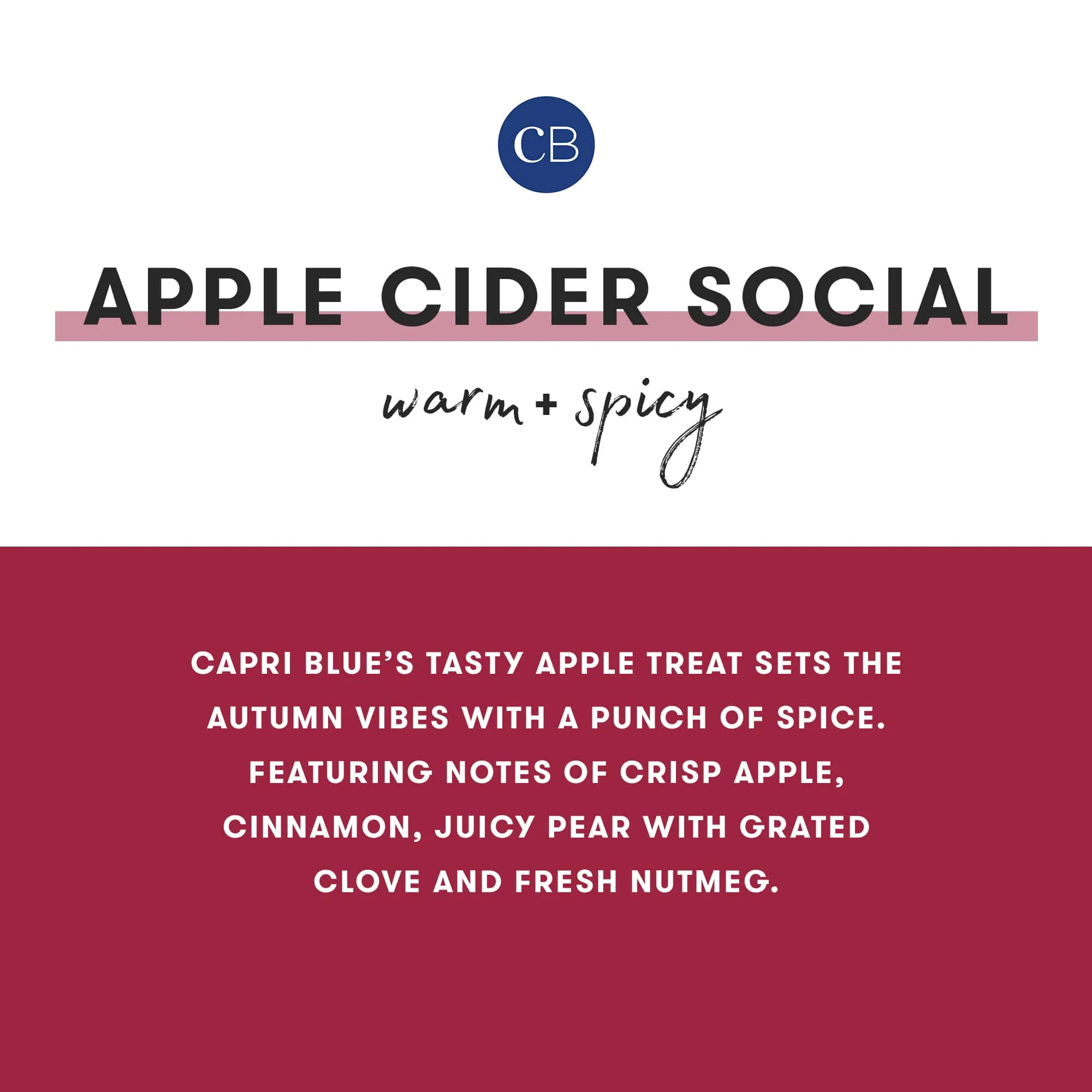 Apple Cider Social Glimmer Petite Candle - Image 5