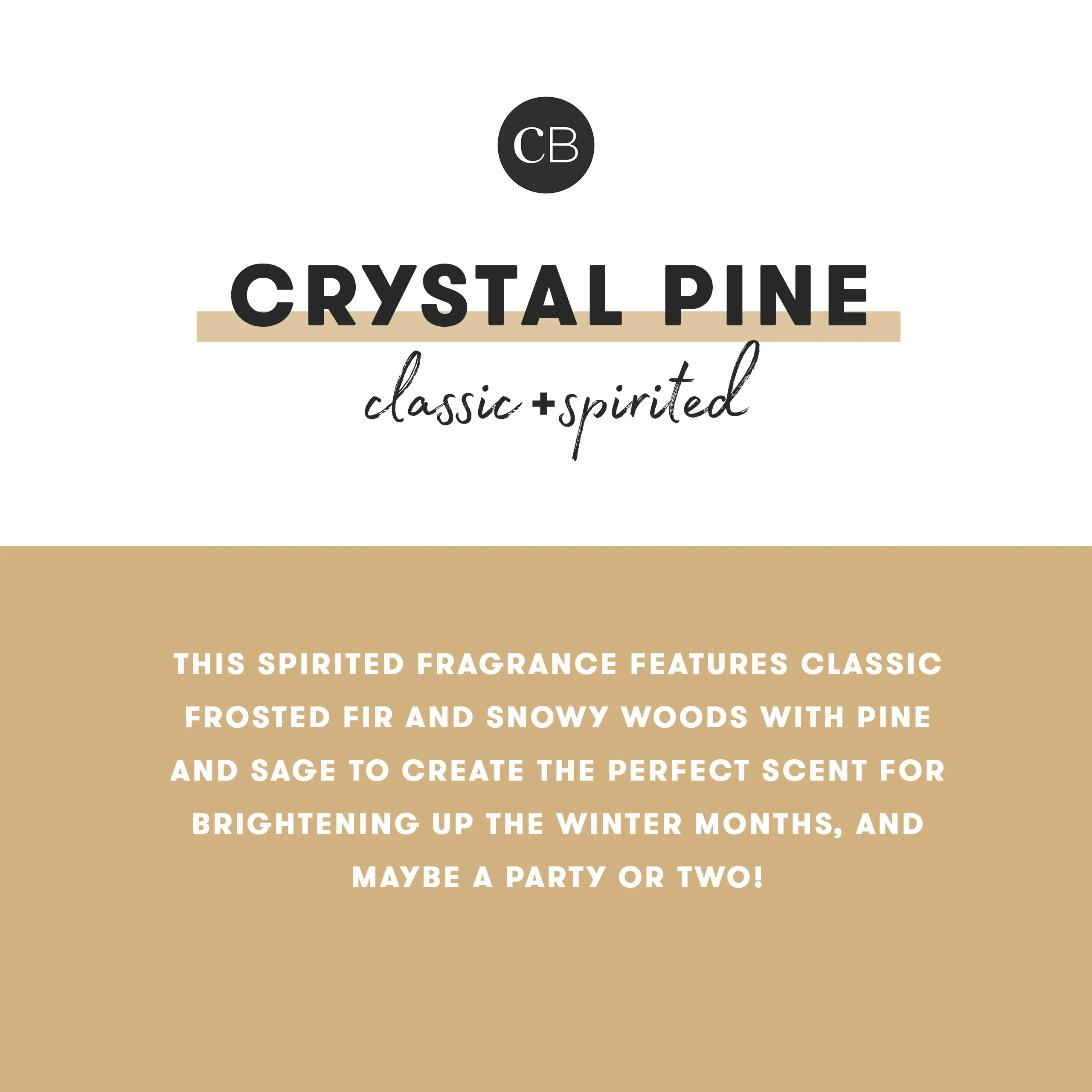 Crystal Pine Glimmer Mini Tin Candle - Image 4