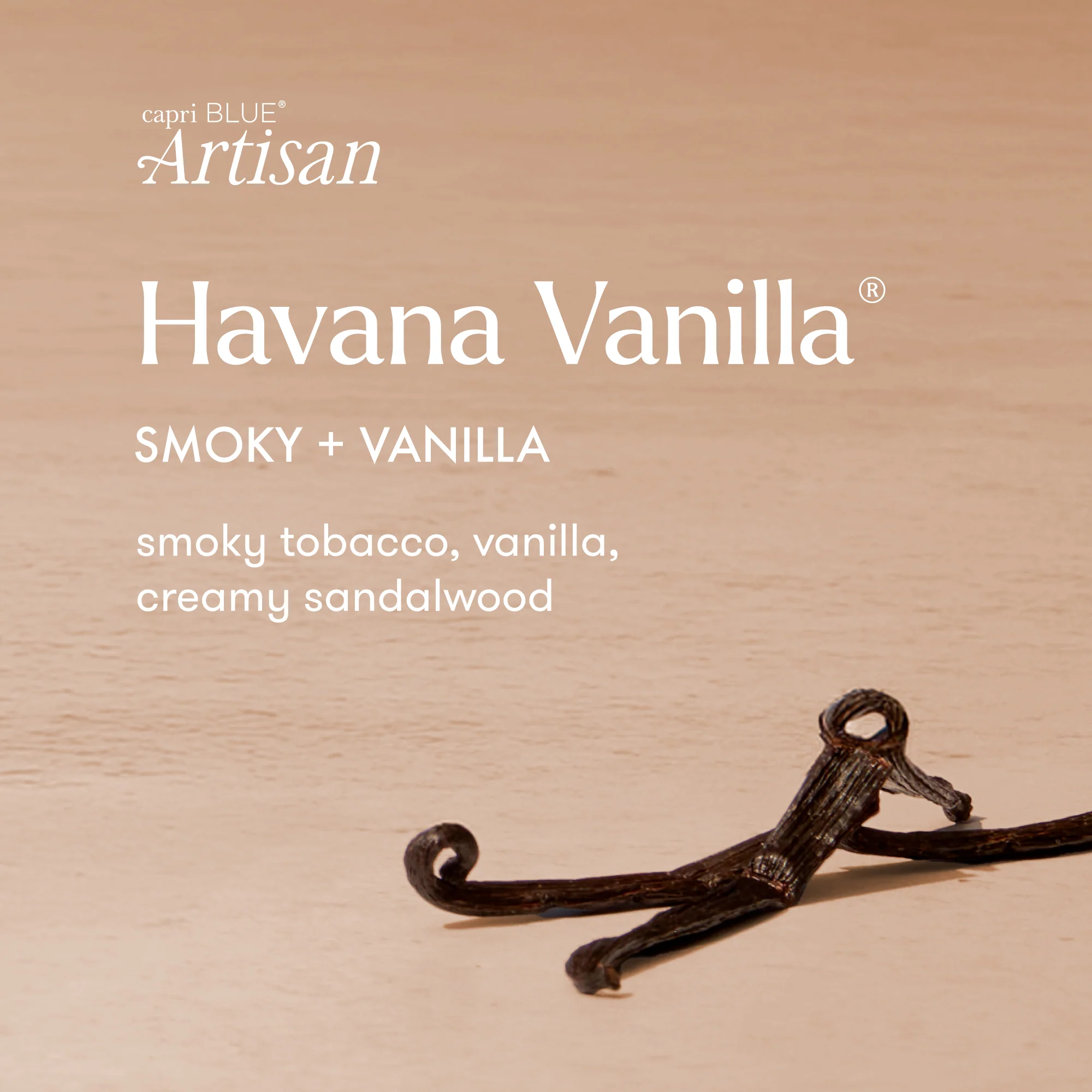 Havana Vanilla Caffè Capri Gelato Cup Candle - Image 3