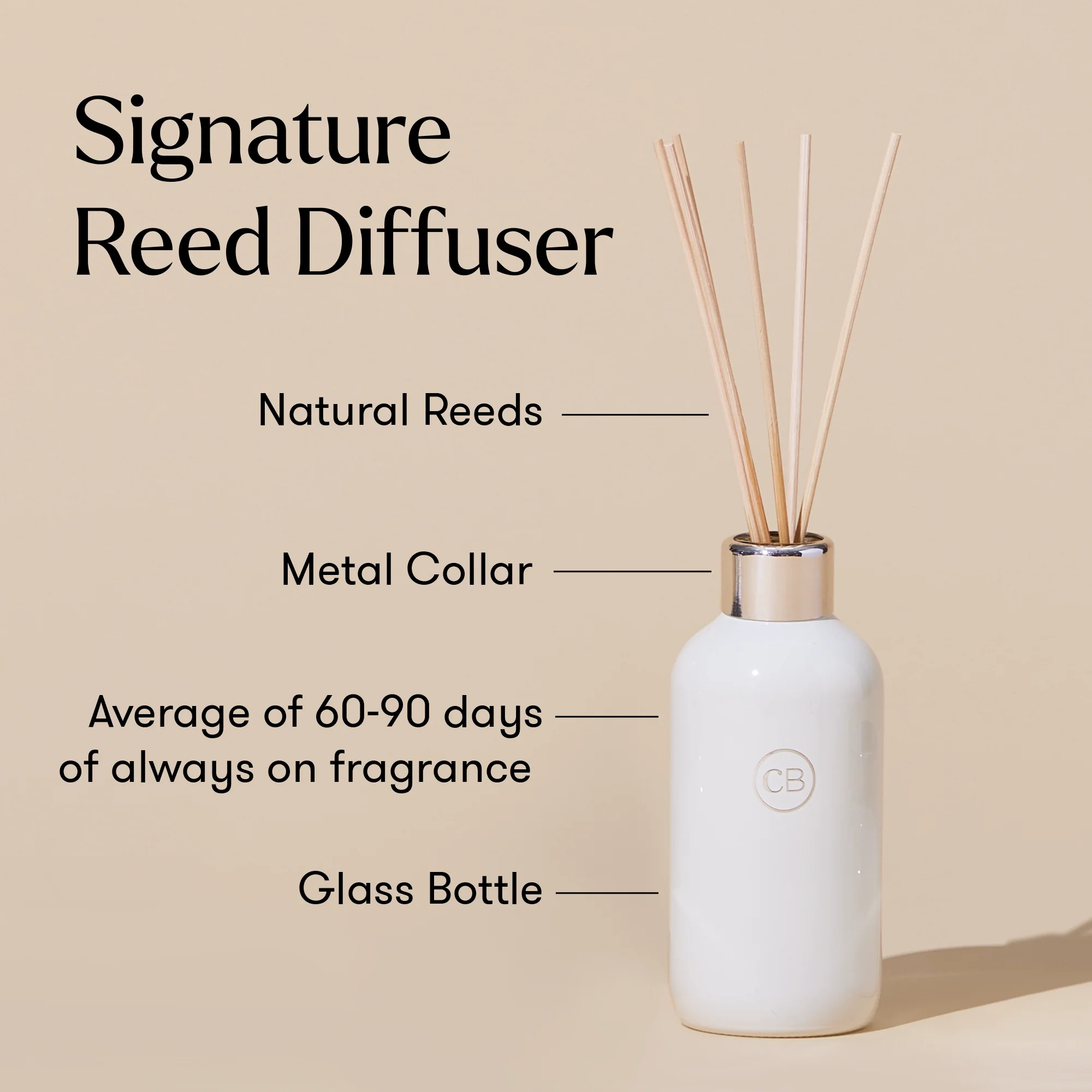 Volcano Signature White Duo - Image 3